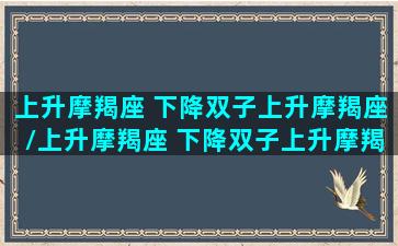 上升摩羯座 下降双子上升摩羯座/上升摩羯座 下降双子上升摩羯座-我的网站